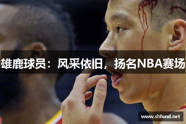 雄鹿球员：风采依旧，扬名NBA赛场